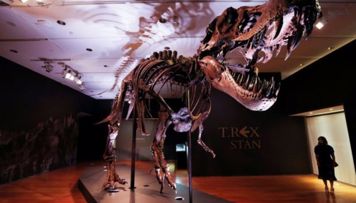 nyu-yorkda-76-milyon-yasi-olan-dinozavrin-skeleti-herraca-cixarilir
